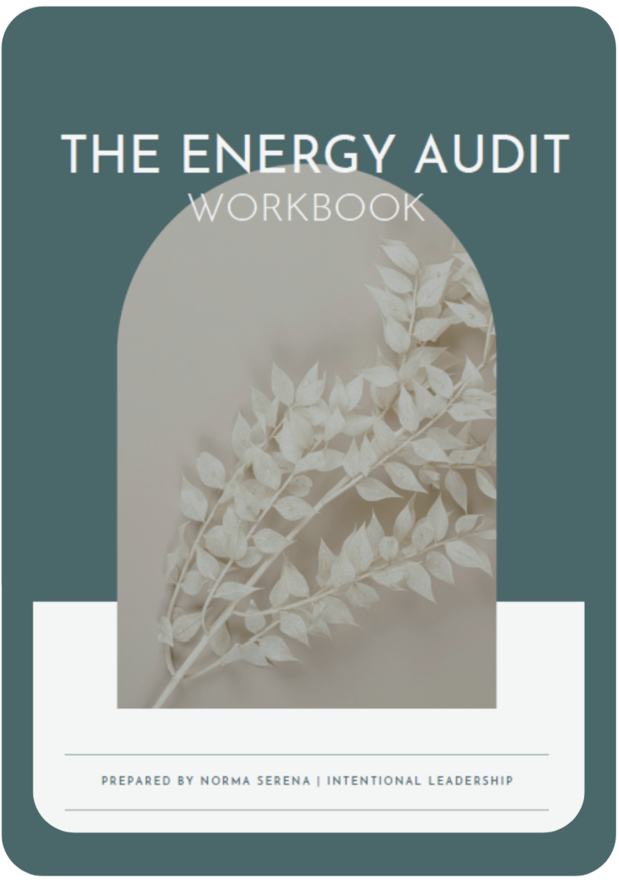 Example of the intentional leadership workbook