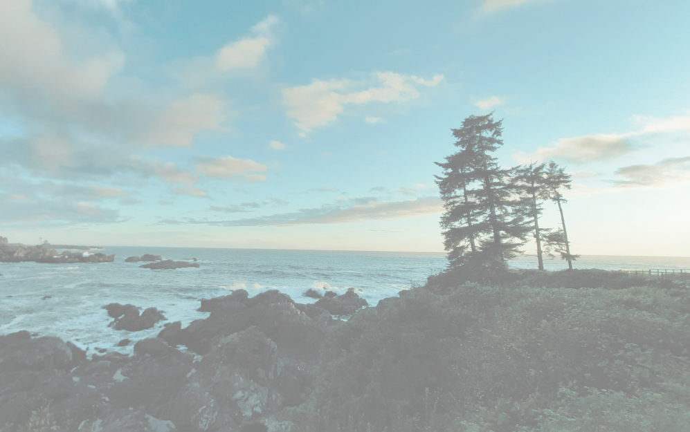 ocean coast with rocks and trees